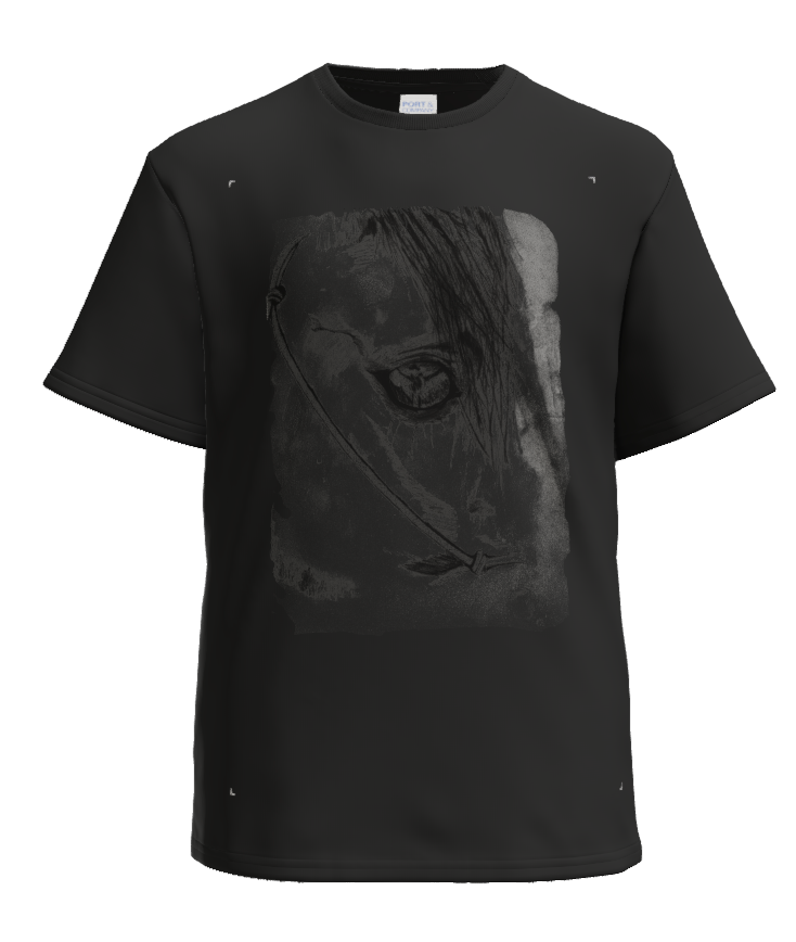 Maddy Lou Designs " In the eye of a Horse" Pencil Drawing